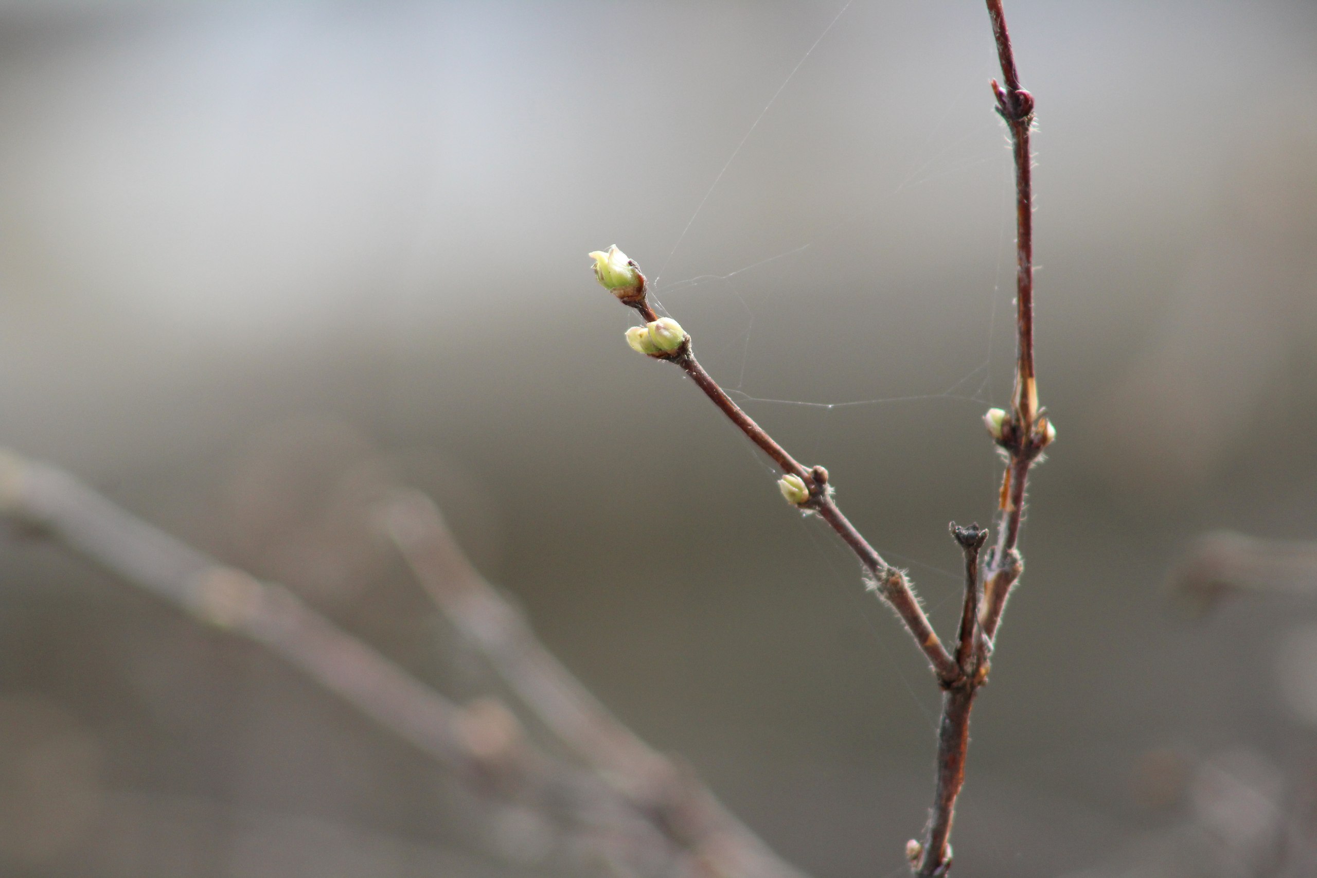 ������! �� ��������� 1 ������( �� ��� ���� ������ �� �� �����,��� �������) , � �� ����� ����� � ... - 2