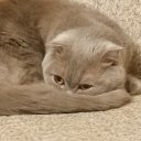 ���� �������, ���������, 57 ��� - ��������� 11 ���� 2020 � ������ ���� ����������