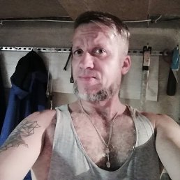 ���� �������, �����������, 41 ��� - ��������� 8 ���� 2020
