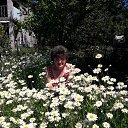 ���� ���������, �����, 65 ��� - ��������� 1 ��� 2020 � ������ ���� ����������