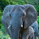 ���� ����, ������������, 50 ��� - ��������� 3 ��� 2020 � ������ ���� ����������