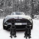 ���� Puma, �����-��������� - ��������� 1 ����� 2020 � ������ ���� ����������
