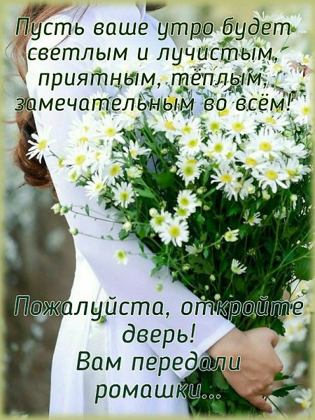   ,    . - 3  2020  07:47