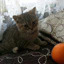 ���� ����, ������ �����, 70 ��� - ��������� 9 ������� 2020 � ������ ���� ����������