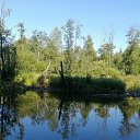 ���� �������, ������������ - ��������� 6 ���� 2020 � ������ ���� ����������