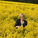 ���� �����, ���������, 48 ��� - ��������� 31 ��� 2020 � ������ ���� ����������