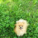 ���� ��������, �����, 62 ���� - ��������� 25 ���� 2020 � ������ ������ ��������