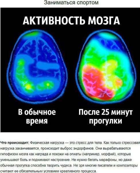 8 советов нейробиолога о том, как стать счастливым раз и навсегда. - 6