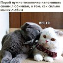 ���� �������, ��������� - ��������� 16 ������� 2020 � ������ ���� ����������