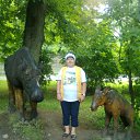 ���� ����, ������, 70 ��� - ��������� 29 ������ 2020 � ������ ���� ����������