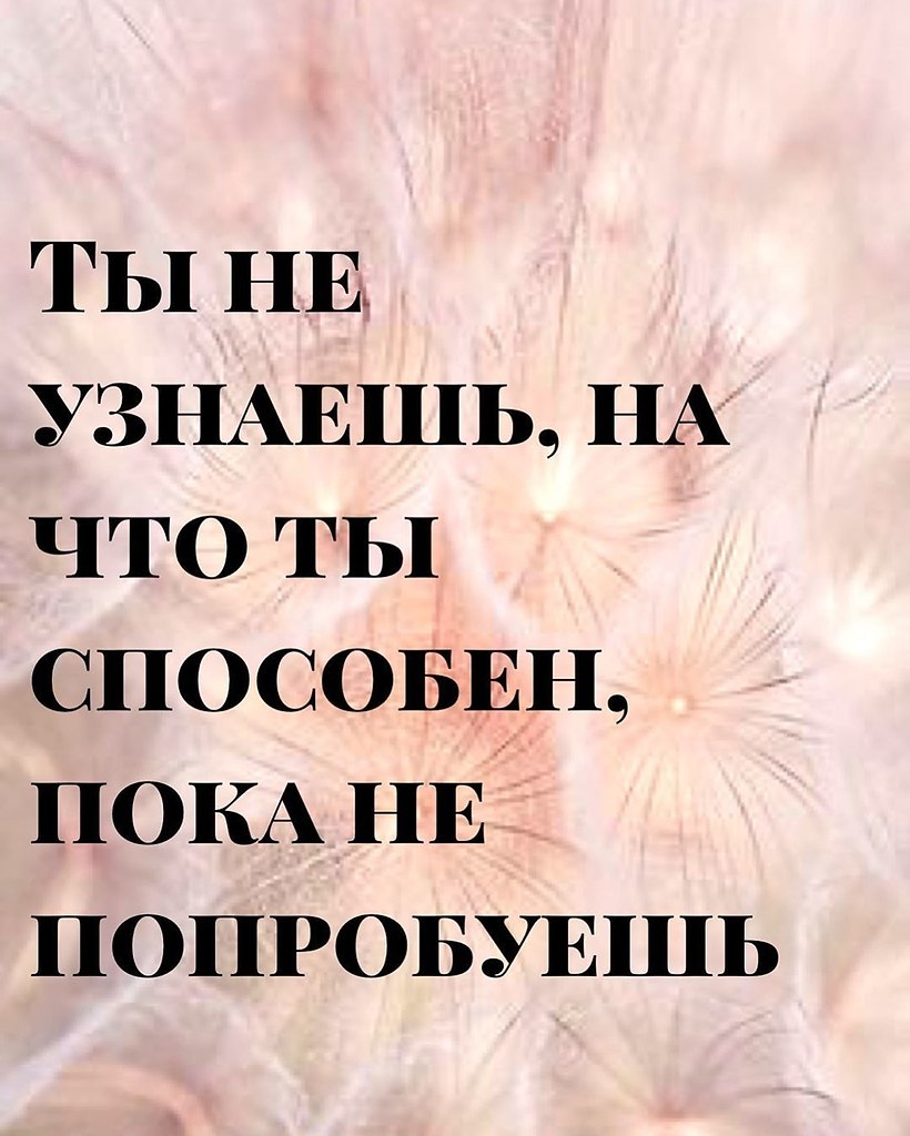 ������� ������ ������� ����� - 12 ����� 2020 � 19:07