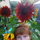 ���� Shia, �����-���������, 48 ��� - ��������� 31 ���� 2020 � ������ ���� ����������