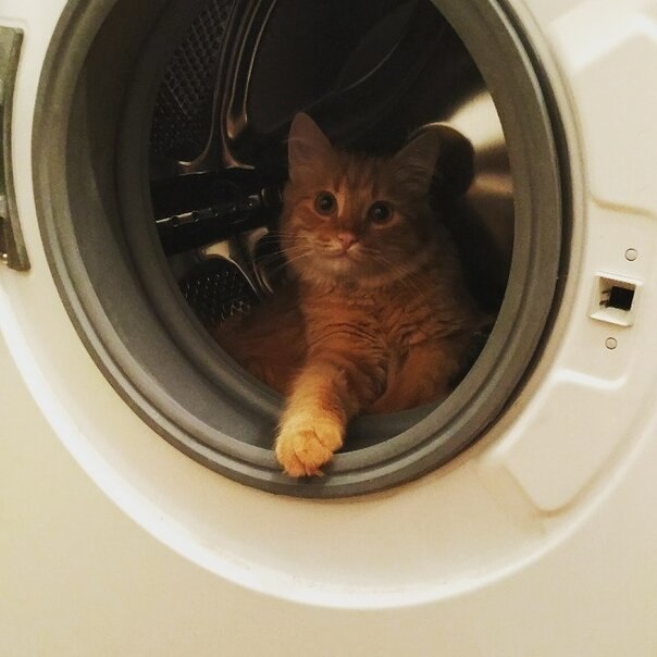 Ну, поехали.