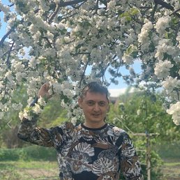 ������, ���������, 47 ���