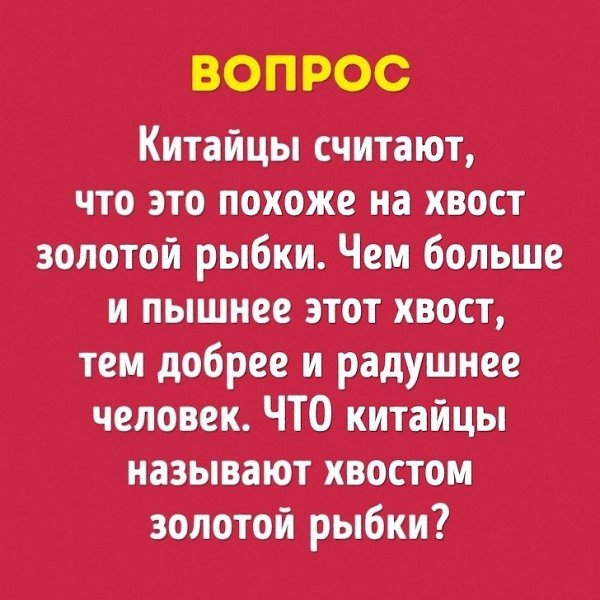 Оригинальные вопросы, которые знатоки, выражаясь языком клуба, так и не взяли - 8