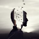 ���� Ali, ������ - ��������� 22 ��� 2020 � ������ ������ ��������