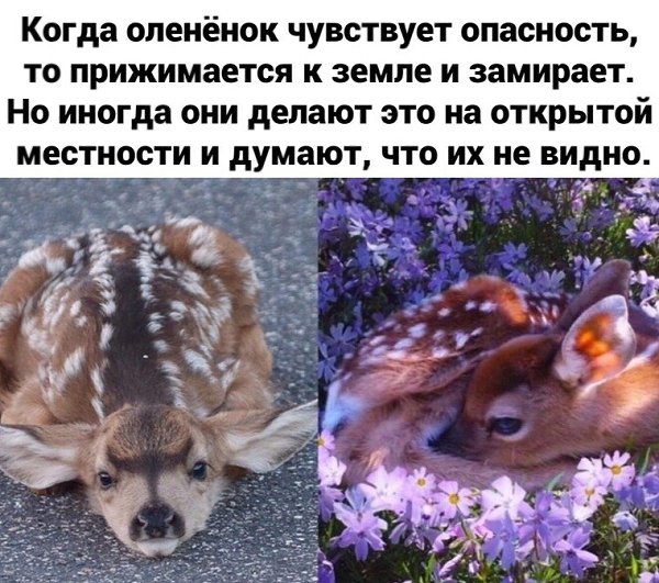  | ,  - 23  2020  19:06