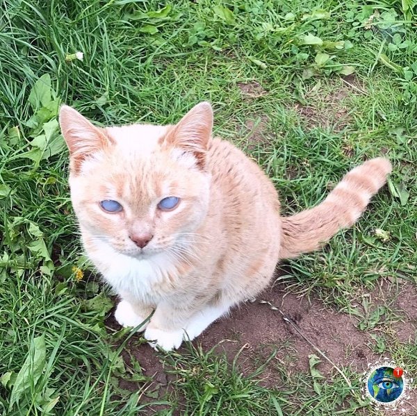 o - a,  o  poc o, o -a   a oo.# - 5