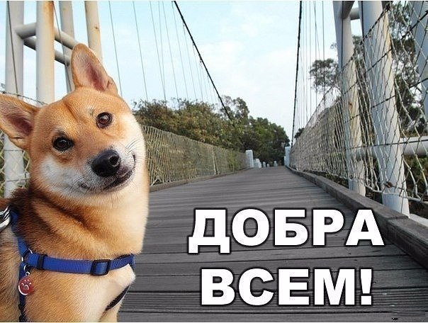   ,    . - 10  2020  21:49