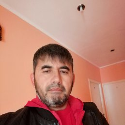 �����, ����, 41 ���