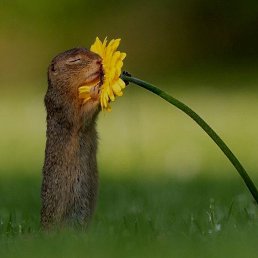 �������, ������, 48 ���