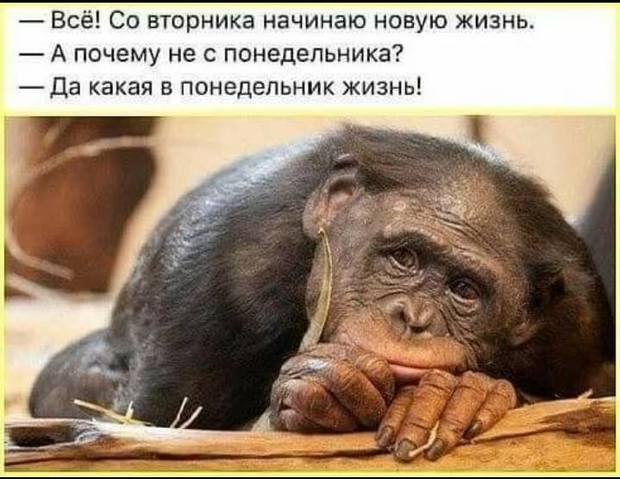 ������ - 9 ������ 2020 � 23:37