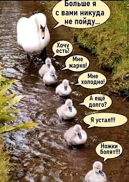  !     - ...