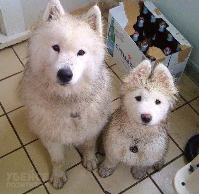 K���� �� ��� ��� ��p������ � �����