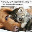 ���� ����, �������, 55 ��� - ��������� 22 ������ 2020 � ������ ������ ��������