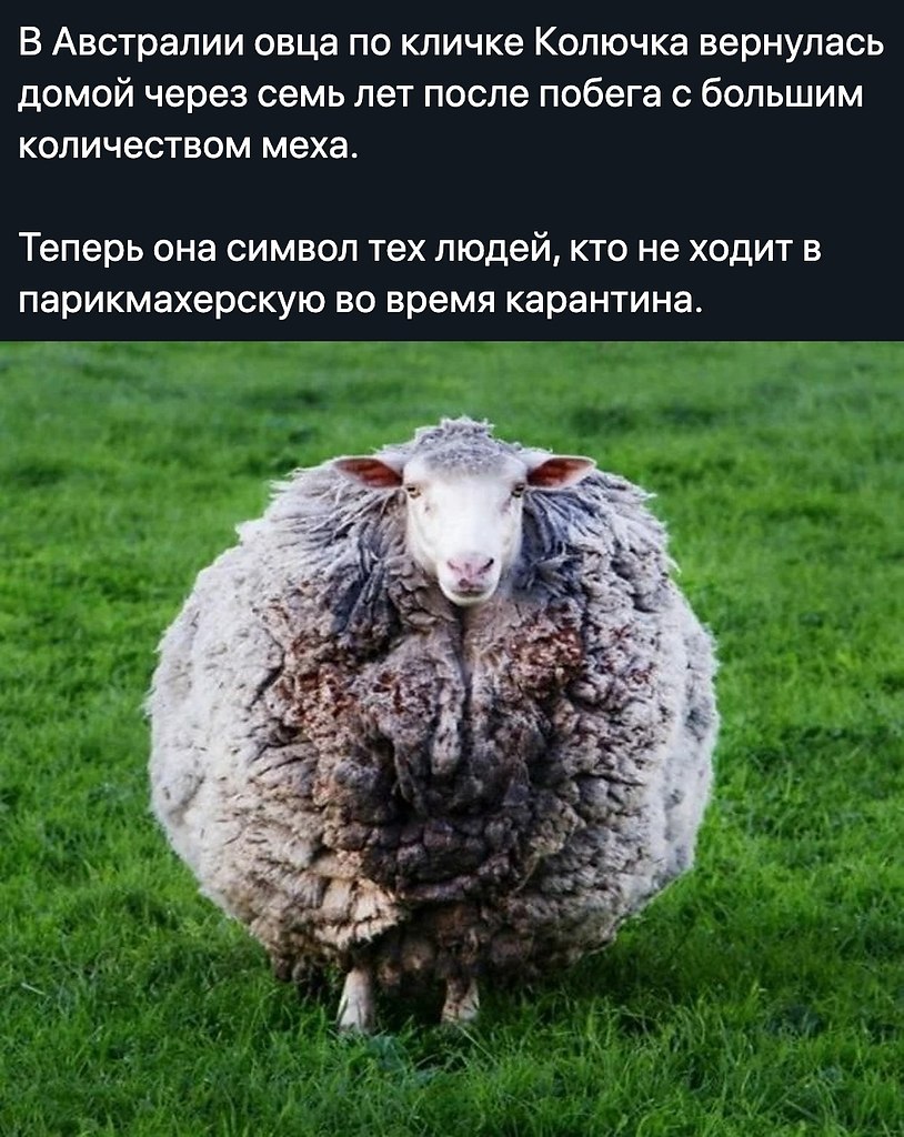 ����� � ������� - 27 ������ 2020 � 18:54