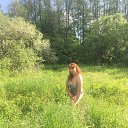 ���� ����, ��������� - ��������� 11 ���� 2020 � ������ ���� ����������