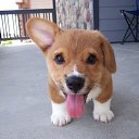 ���� ������, ���������� - ��������� 20 ������ 2020 � ������ ������ ��������