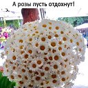 ���� ��������, ������ - ��������� 2 ������� 2020 � ������ ������ ��������