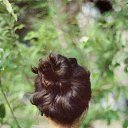 ���� Olga, ������� - ��������� 26 ���� 2020 � ������ ���� ����������