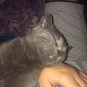 ���� ϸ��, �����������, 33 ���� - ��������� 18 ������� 2020 � ������ ���� ����������