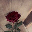 ���� ����, ������� - ��������� 9 ������ 2020 � ������ ���� ����������