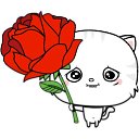 ���� �������, �������, 39 ��� - ��������� 3 ������� 2020