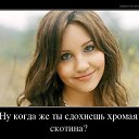 ���� ������, ������, 41 ��� - ��������� 27 ������� 2020 � ������ ������ ��������