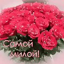 ���� ���������, ������ - ��������� 9 ����� 2020 � ������ ���� ����������