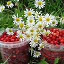 ���� ���������, ���� - ��������� 16 ��� 2020 � ������ ���� ����������