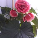 ���� �����, ������, 41 ��� - ��������� 24 ������ 2020 � ������ ���� ���������