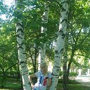 ���� ������� ����������, ������������, 53 ���� - ��������� 4 ���� 2020 � ������ ���� ����������