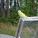 ���� ����, �����������, 63 ���� - ��������� 12 ���� 2020 � ������ ���� ����������