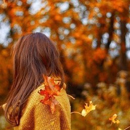 ���� �����, ������������, 47 ��� - ��������� 2 ����� 2020