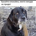 ���� ������, ������ - ��������� 15 ������ 2020 � ������ ���� ����������