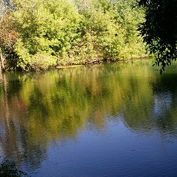 ���� Tanja, �������, 66 ��� - ��������� 14 ��� 2020