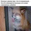 ���� �����, ������� - ��������� 2 ��� 2020 � ������ ������ ��������