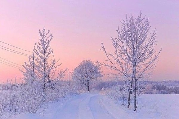������ ������� ������ | ����������� - 24 ����� 2020 � 19:06 - 4