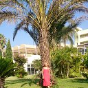 ���� �����, ������, 50 ��� - ��������� 29 ���� 2020