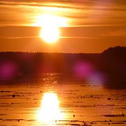 ��������, 63 ����, �����-���������